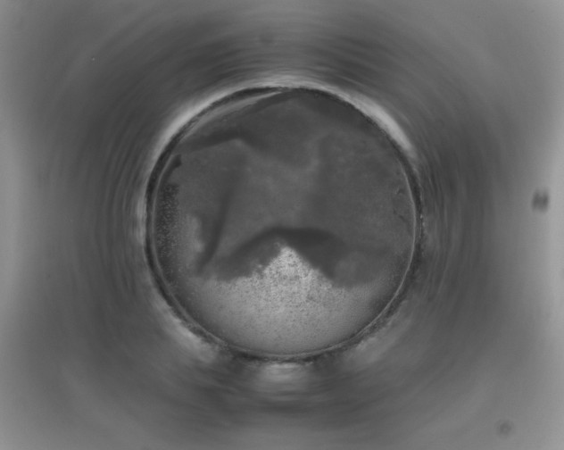 X0000097000839200802081442