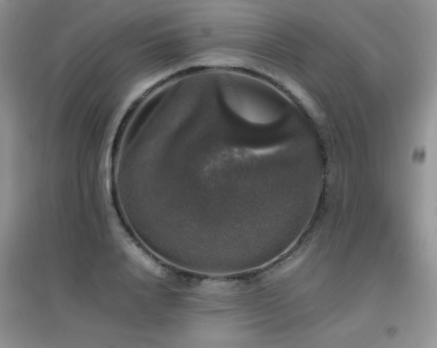 X0000097000840200802081442