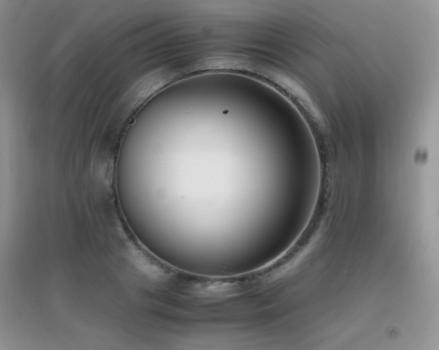 X0000097000841200802081442