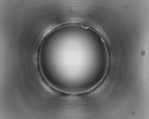 X0000097000842200802081442