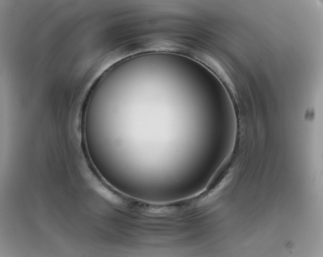 X0000097000843200802081442