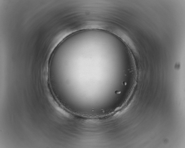 X0000097000844200802081442
