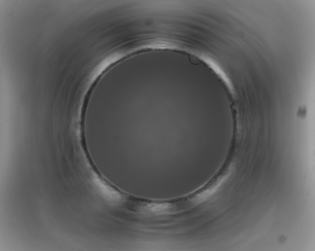 X0000097000845200802081442