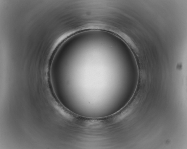 X0000097000846200802081442