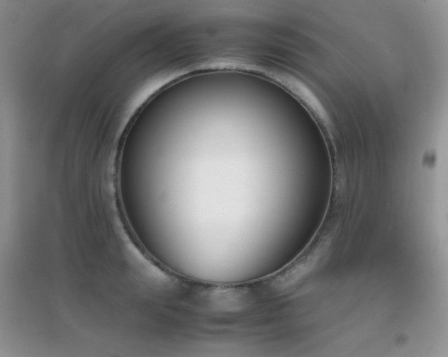 X0000097000847200802081442