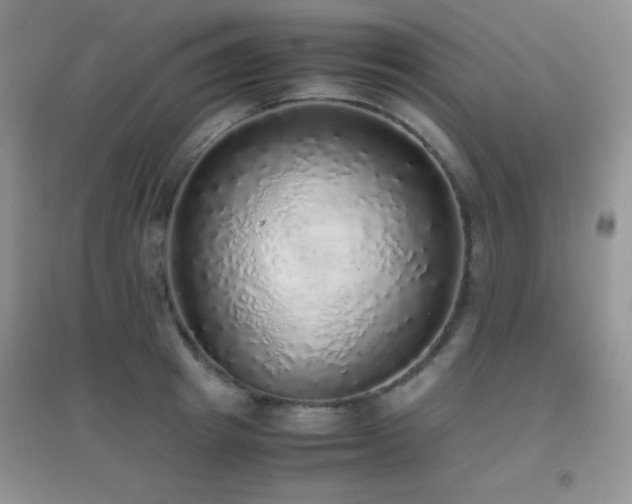 X0000097000849200802081442