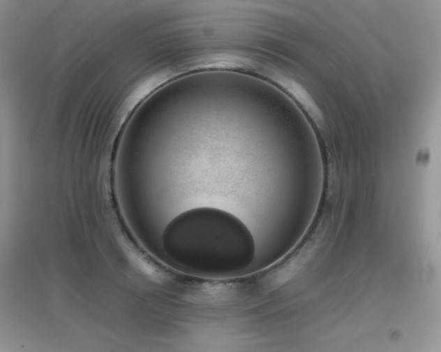 X0000097000850200802081442