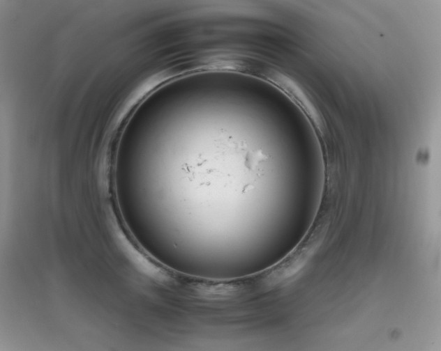 X0000097000851200802081442