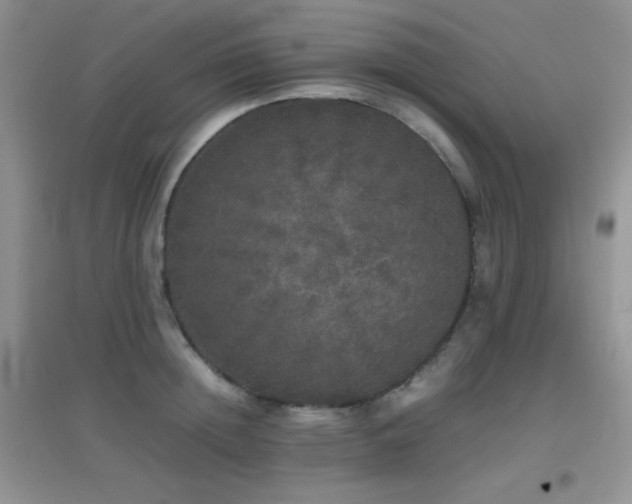X0000097000852200802081442