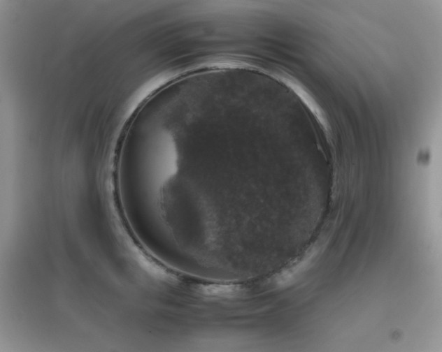 X0000097000853200802081442
