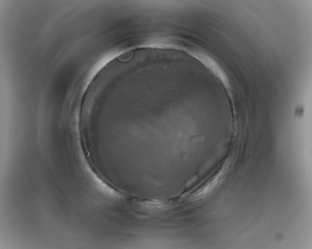 X0000097000855200802081442