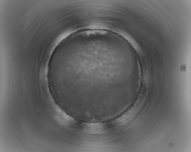 X0000097000856200802081442