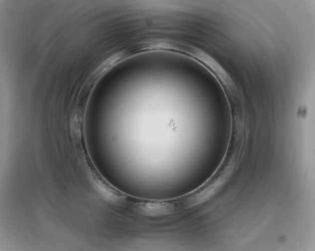 X0000097000857200802081442