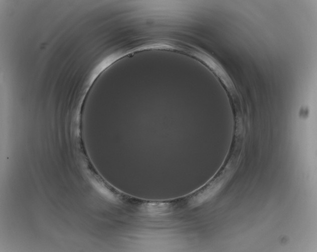 X0000097000858200802081442