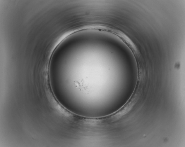 X0000097000860200802081442