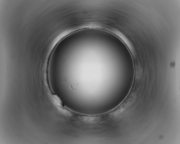X0000097000861200802081442