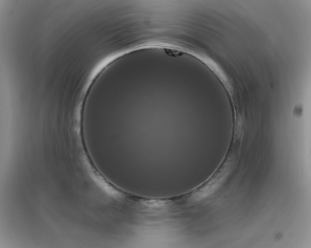 X0000097000862200802081442