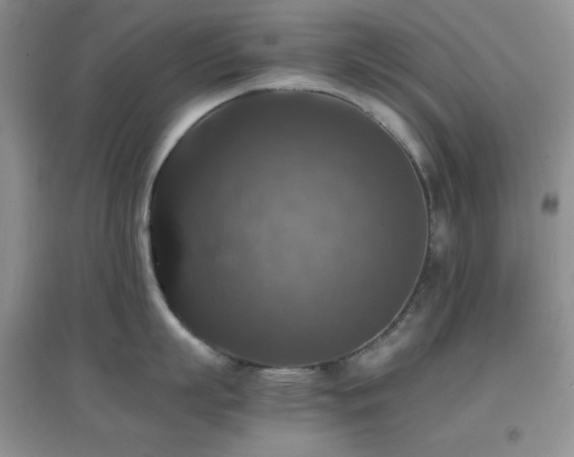X0000097000863200802081442