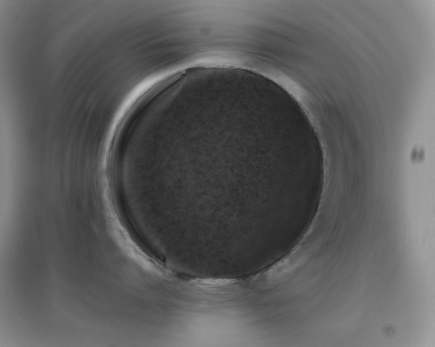 X0000097000864200802081442