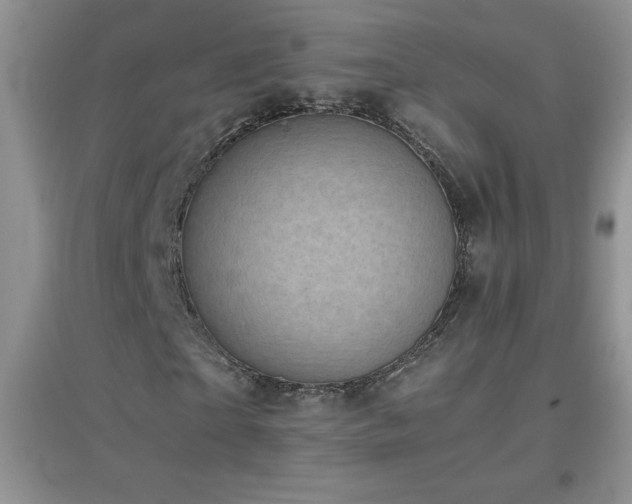 X0000097000865200802081442