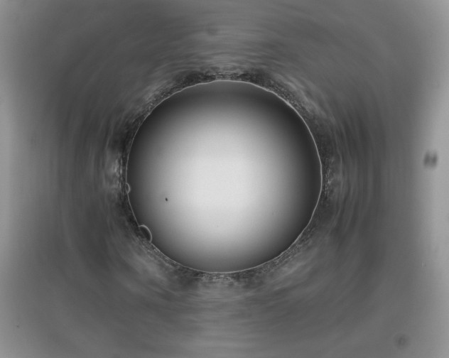 X0000097000866200802081442