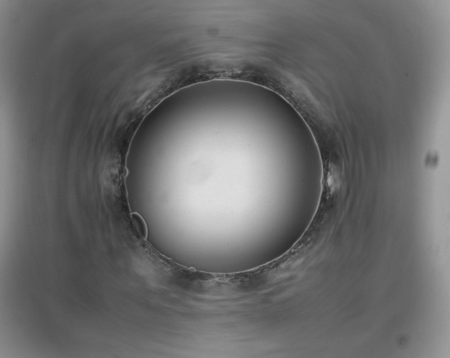 X0000097000867200802081442