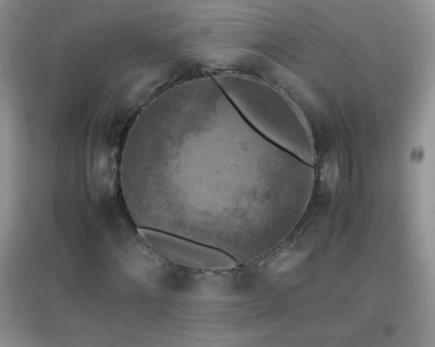 X0000097000868200802081442