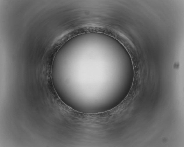 X0000097000870200802081442