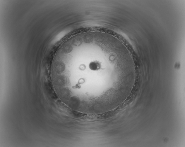 X0000097000871200802081442
