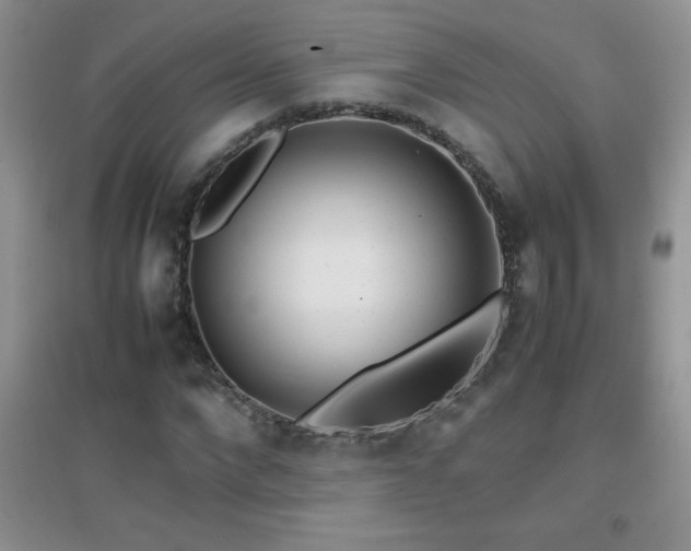 X0000097000872200802081442