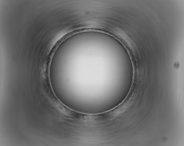 X0000097000875200802081442