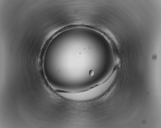 X0000097000876200802081442
