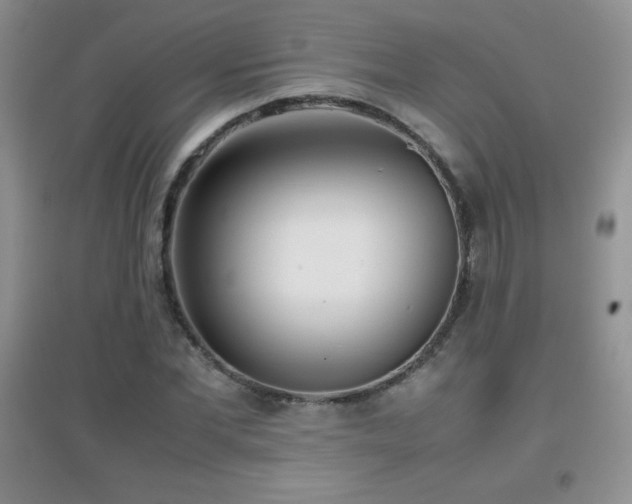 X0000097000877200802081442