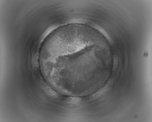 X0000097000878200802081442