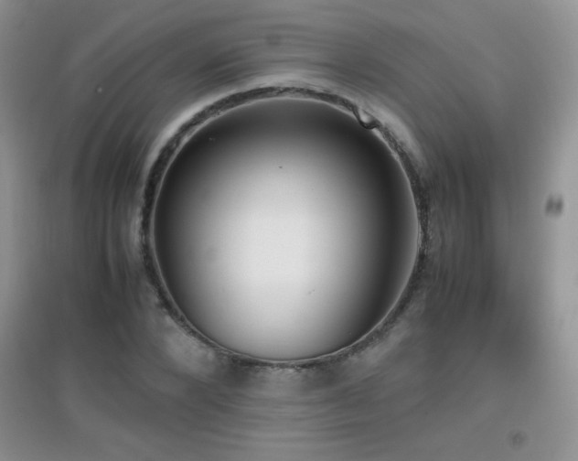 X0000097000880200802081442