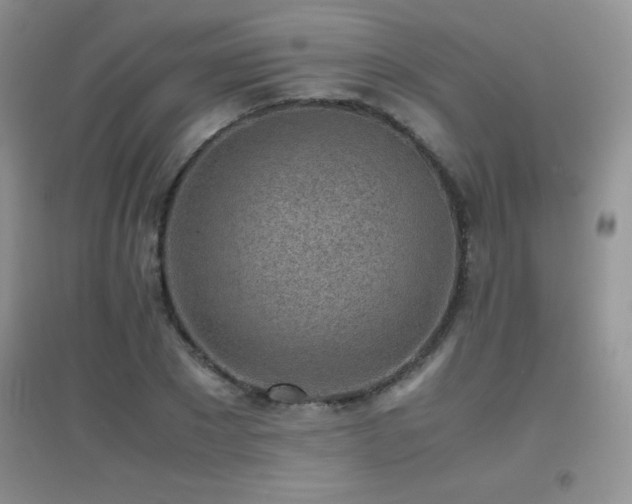 X0000097000881200802081442
