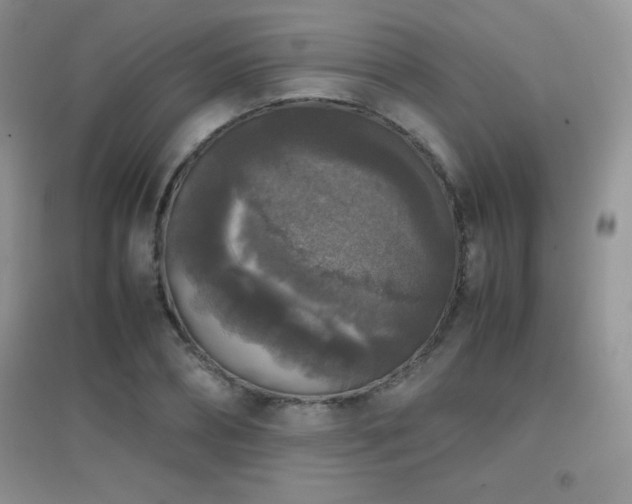 X0000097000882200802081442