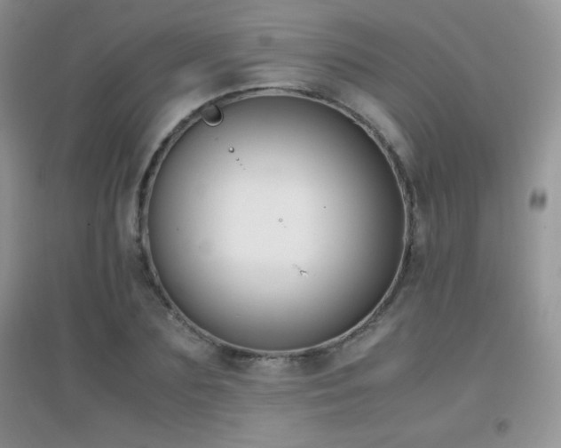 X0000097000883200802081442