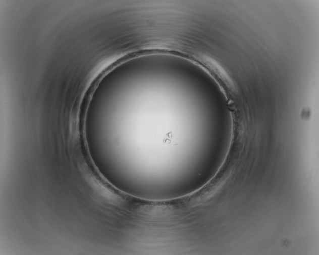 X0000097000884200802081441
