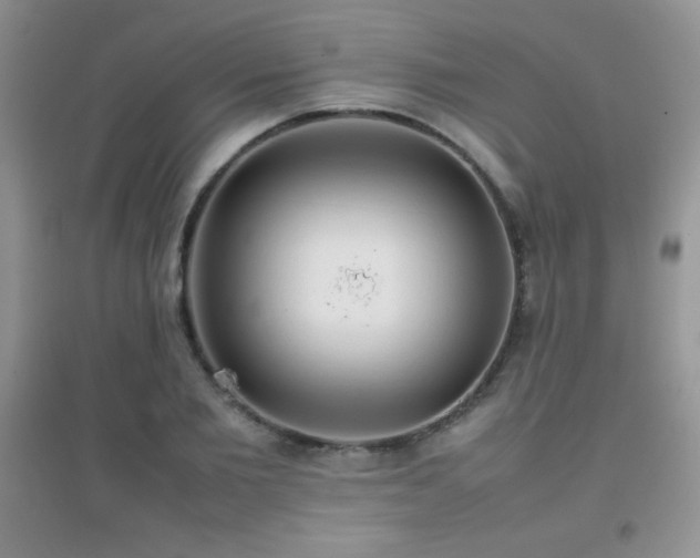 X0000097000885200802081441