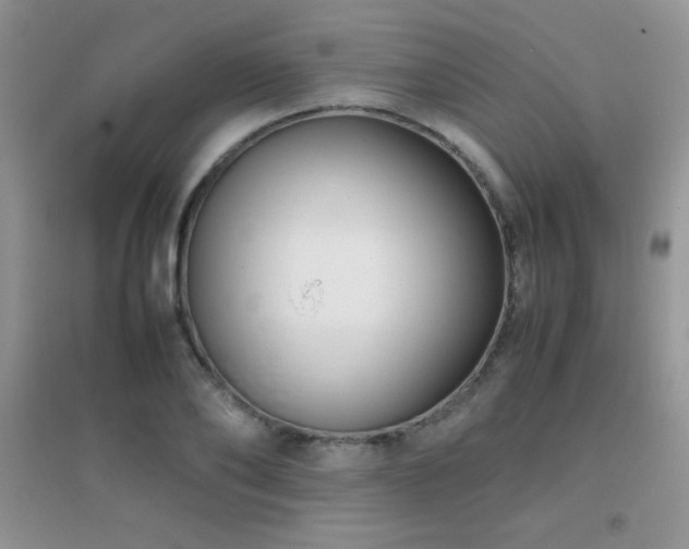 X0000097000886200802081441