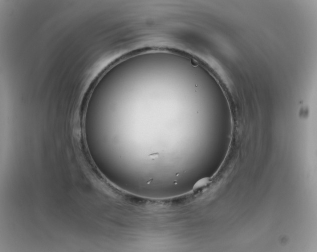 X0000097000887200802081441