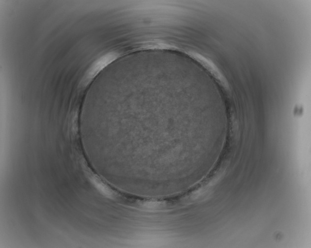 X0000097000889200802081441