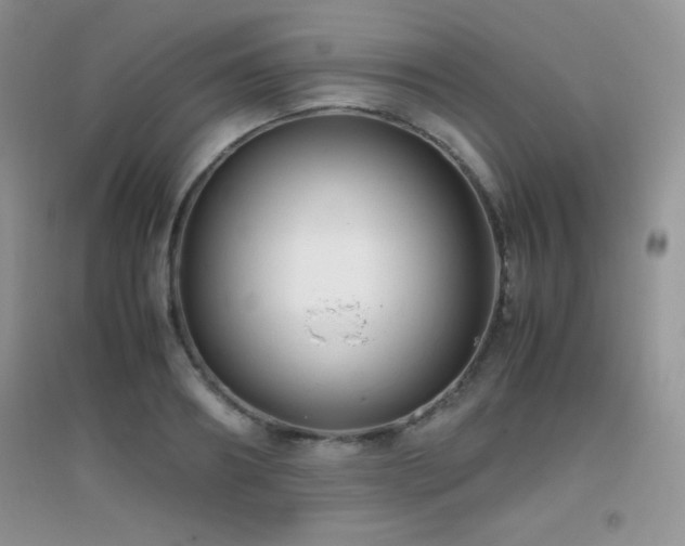 X0000097000890200802081441