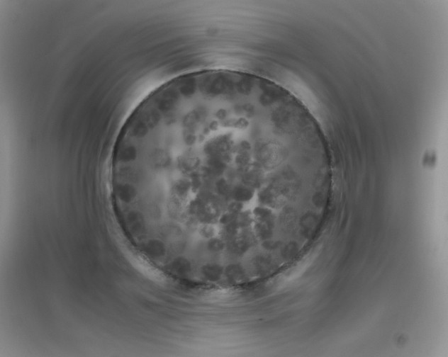 X0000097000891200802081441