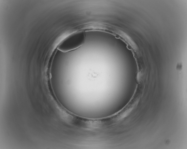 X0000097000893200802081441
