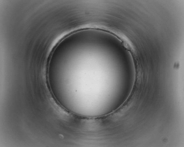 X0000097000896200802081441