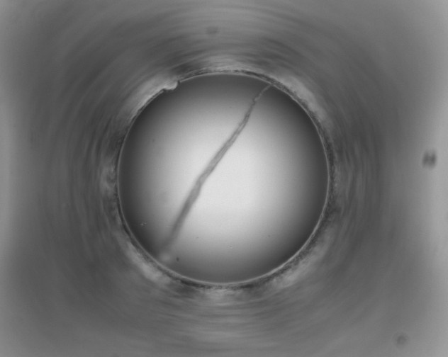 X0000097000897200802081441