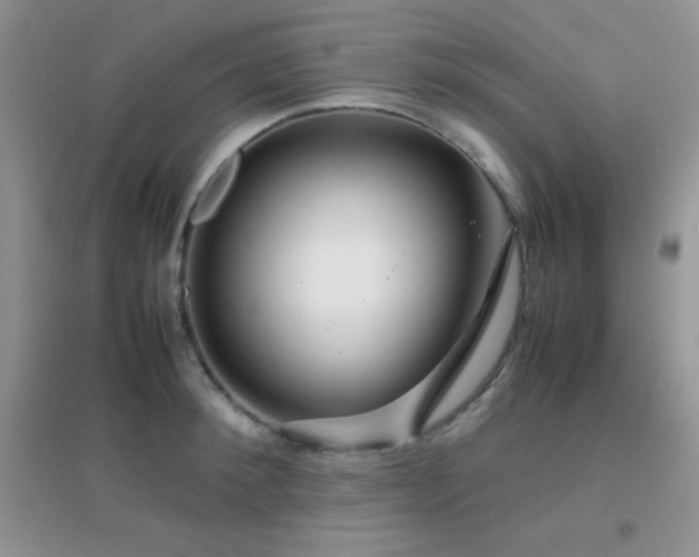 X0000097000900200802081441