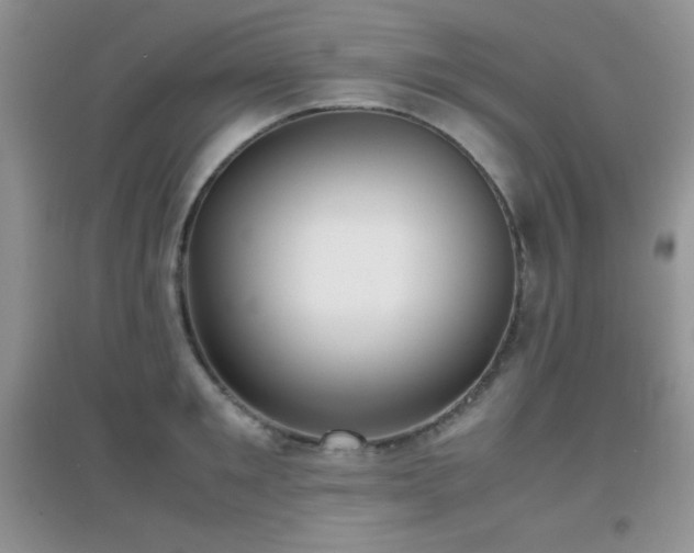 X0000097000901200802081441